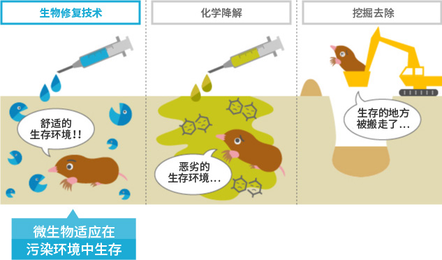 生态系统扰动示意图