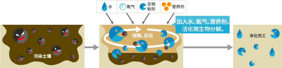 生物修复技术的必要条件