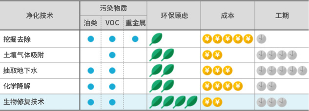 针对土壤和地下水污染处理，生物修复技术与其他净化技术的比较