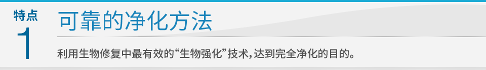 特点1 可靠的净化方法：利用生物修复中最有效的“生物强化”技术，达到完全净化的目的。