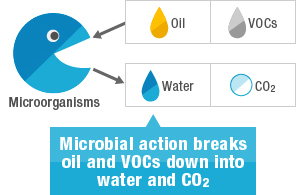 Decomposition of Pollutants by Microorganisms