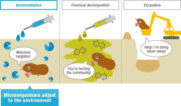 Impact of Remediation Approaches on Ecosystems