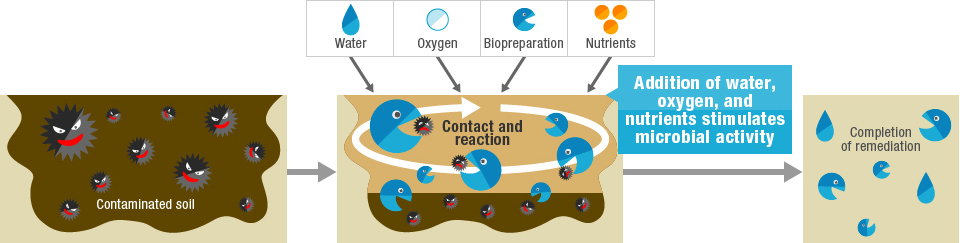 Necessary Elements for Bioremediation