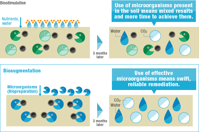 Comparison of Biostimulation and Bioaugmentation